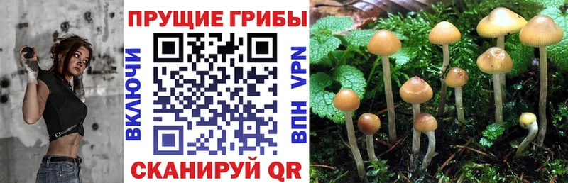 Псилоцибиновые грибы мухоморы  Саранск 
